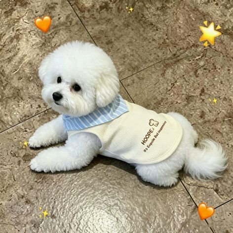 XC-1 Lightweight Dog T-Shirt with Striped Collar