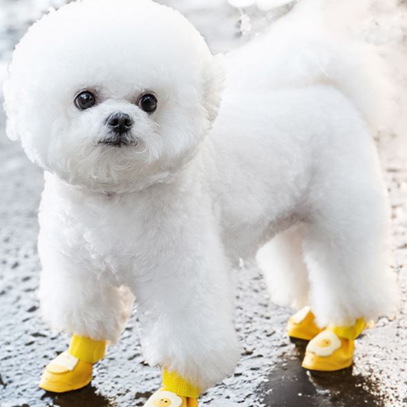 XC03 Silicone Waterproof Dog Rain Boots on a pet