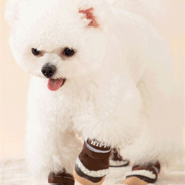 XC11 Fleece-Lined Suede Winter Dog Boots on a pet