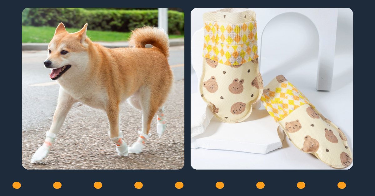 Shiba Inu walking outdoors wearing white disposable dog shoe covers