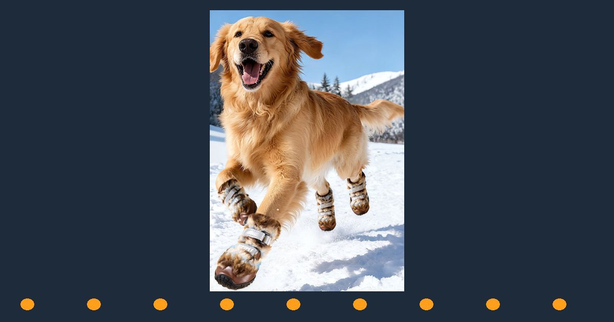 Golden retriever running in snow wearing faux-fur dog snow boots